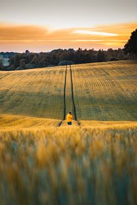 Preview wallpaper photographer, field, flowers, landscape