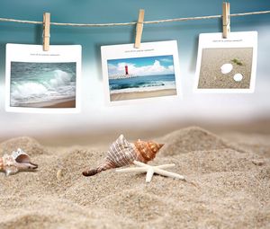 Preview wallpaper photography, beach, shells, 3d