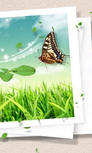 Preview wallpaper photography, butterfly, clipart, design