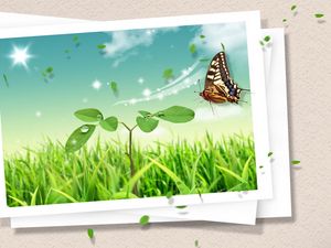 Preview wallpaper photography, butterfly, clipart, design