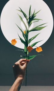 Preview wallpaper physalis, hand, plant, lamp, glow