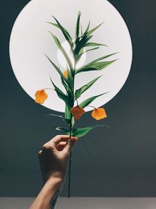 Preview wallpaper physalis, hand, plant, lamp, glow