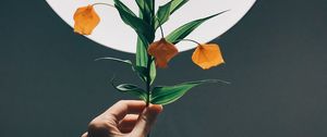 Preview wallpaper physalis, hand, plant, lamp, glow