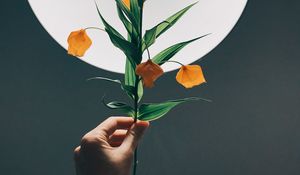 Preview wallpaper physalis, hand, plant, lamp, glow