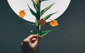 Preview wallpaper physalis, hand, plant, lamp, glow