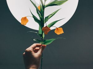 Preview wallpaper physalis, hand, plant, lamp, glow