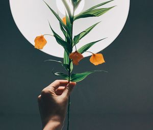 Preview wallpaper physalis, hand, plant, lamp, glow