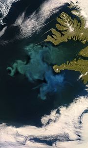 Preview wallpaper phytoplankton bloom, sea, continent, aerial view