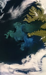 Preview wallpaper phytoplankton bloom, sea, continent, aerial view