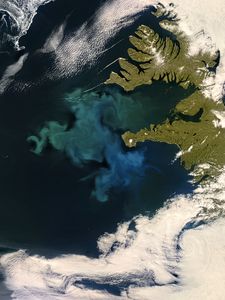 Preview wallpaper phytoplankton bloom, sea, continent, aerial view