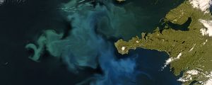 Preview wallpaper phytoplankton bloom, sea, continent, aerial view