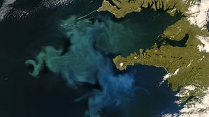 Preview wallpaper phytoplankton bloom, sea, continent, aerial view