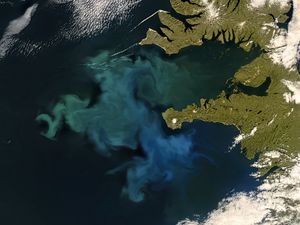 Preview wallpaper phytoplankton bloom, sea, continent, aerial view