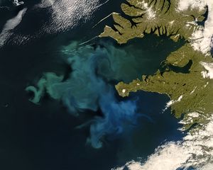 Preview wallpaper phytoplankton bloom, sea, continent, aerial view