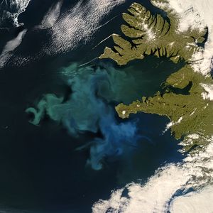 Preview wallpaper phytoplankton bloom, sea, continent, aerial view