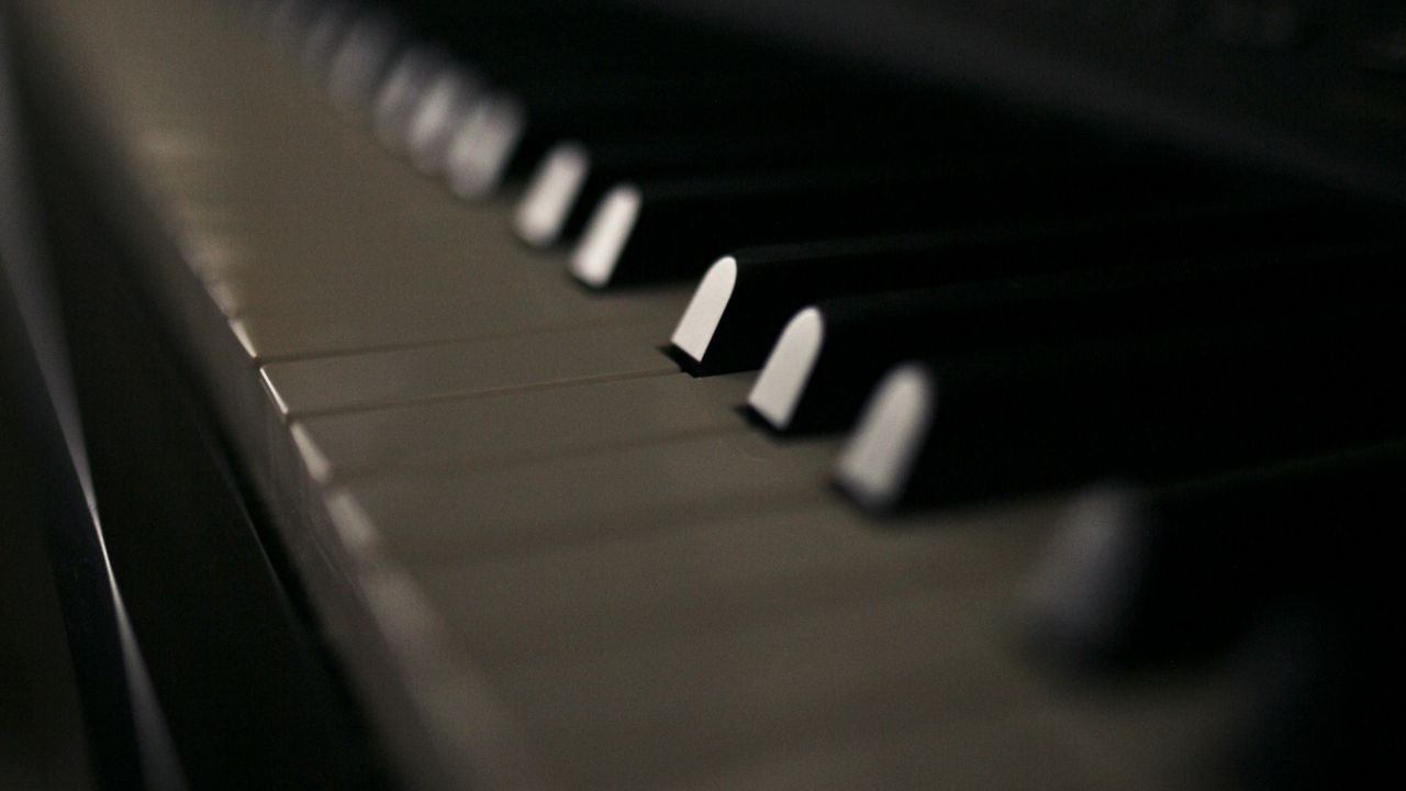 Wallpaper piano, keys, bw, music, musical instrument, macro