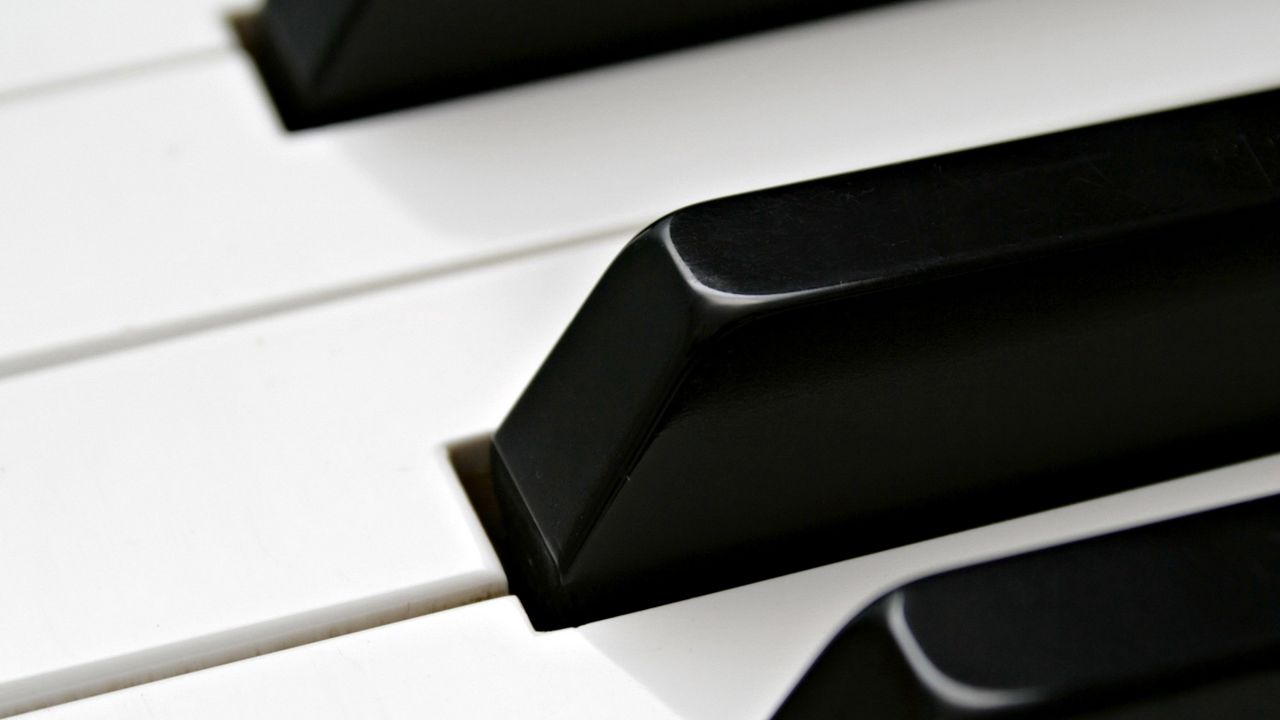 Wallpaper piano, pianos, keyboards, white, black