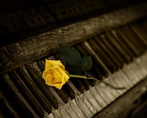 Preview wallpaper piano, rose, keys