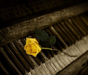 Preview wallpaper piano, rose, keys