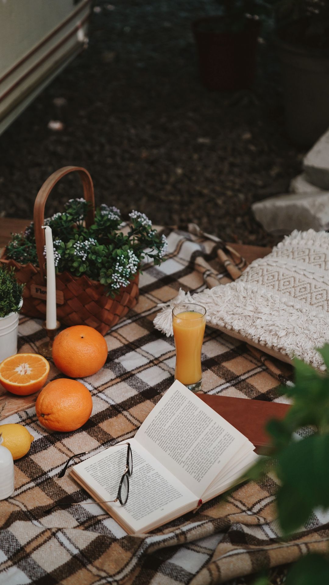 1080x1920 Wallpaper picnic, book, orange, flowers