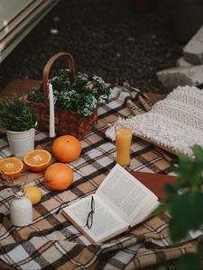 Preview wallpaper picnic, book, orange, flowers