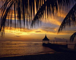 Preview wallpaper pier, arbor, palm tree, branches, evening, sea