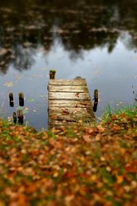 Preview wallpaper pier, autumn, river, fallen leaves