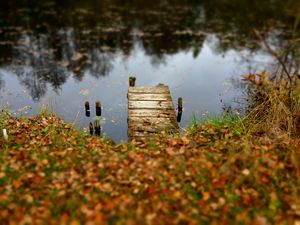 Preview wallpaper pier, autumn, river, fallen leaves