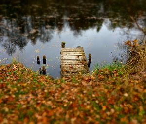 Preview wallpaper pier, autumn, river, fallen leaves