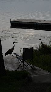 Preview wallpaper pier, birds, silhouettes, lake, evening