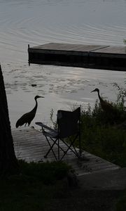 Preview wallpaper pier, birds, silhouettes, lake, evening