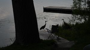 Preview wallpaper pier, birds, silhouettes, lake, evening