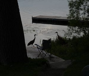 Preview wallpaper pier, birds, silhouettes, lake, evening