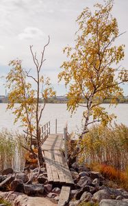 Preview wallpaper pier, boards, trees, birches, river