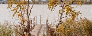 Preview wallpaper pier, boards, trees, birches, river