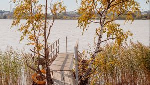 Preview wallpaper pier, boards, trees, birches, river