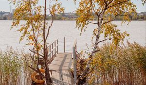 Preview wallpaper pier, boards, trees, birches, river