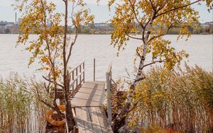 Preview wallpaper pier, boards, trees, birches, river