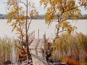 Preview wallpaper pier, boards, trees, birches, river