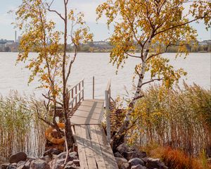 Preview wallpaper pier, boards, trees, birches, river