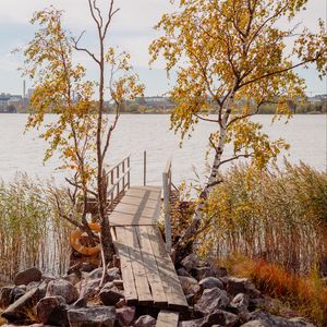 Preview wallpaper pier, boards, trees, birches, river