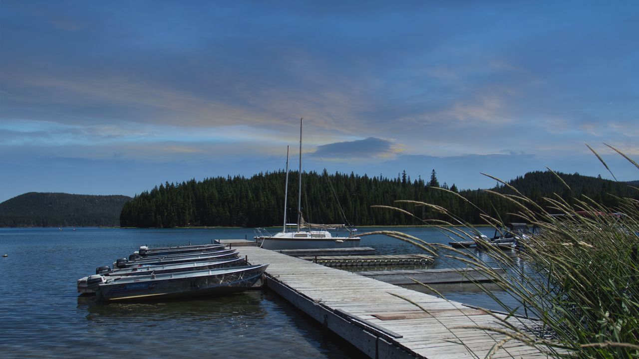 Wallpaper pier, boats, forest, nature