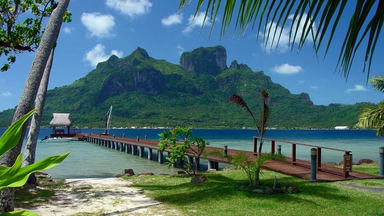 Wallpaper pier, coast, bridge, mooring, arbor, tropics, palm trees, mountain