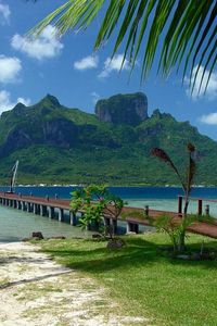 Preview wallpaper pier, coast, bridge, mooring, arbor, tropics, palm trees, mountain