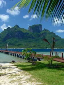 Preview wallpaper pier, coast, bridge, mooring, arbor, tropics, palm trees, mountain