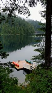 Preview wallpaper pier, forest, trees, lake, reflection