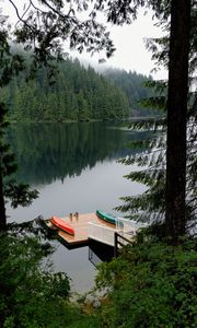 Preview wallpaper pier, forest, trees, lake, reflection