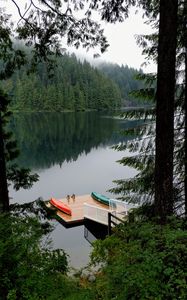 Preview wallpaper pier, forest, trees, lake, reflection