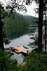 Preview wallpaper pier, forest, trees, lake, reflection