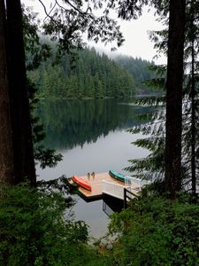 Preview wallpaper pier, forest, trees, lake, reflection
